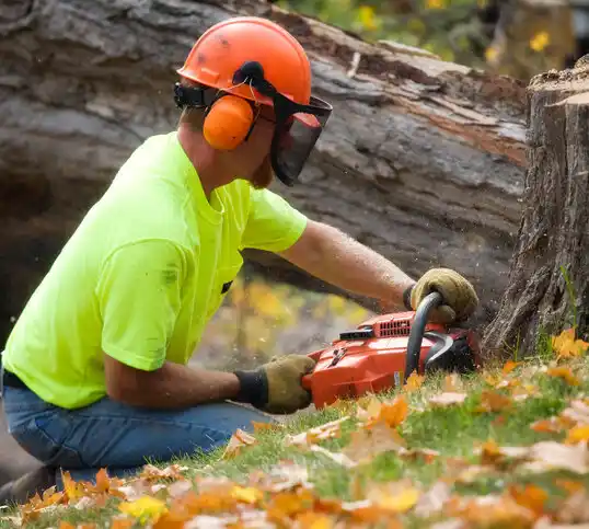 tree services Lacombe